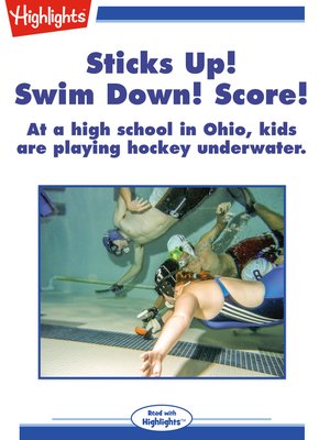 cover image of Sticks Up! Swim Down! Score!